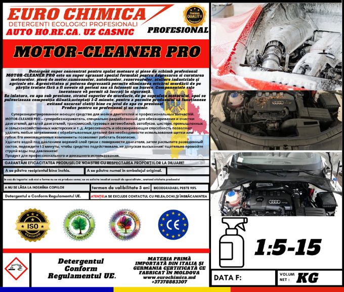 MOTOR CLEANER PRO 750ml